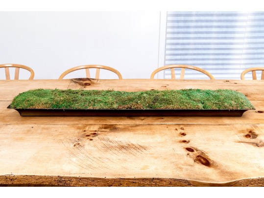 Oversized Moss Centerpiece