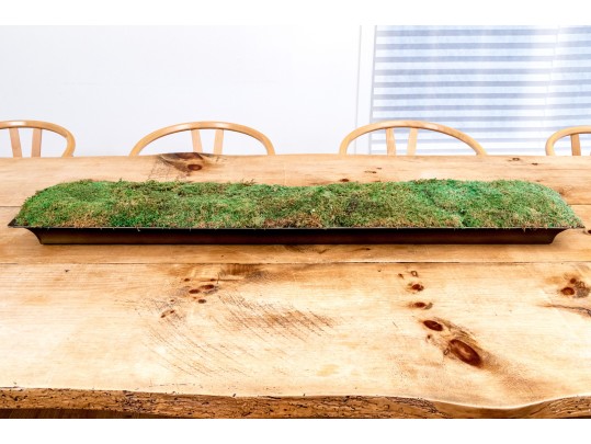 Oversized Moss Centerpiece