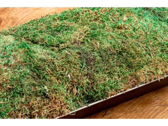 Oversized Moss Centerpiece
