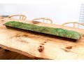 Oversized Moss Centerpiece