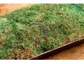 Oversized Moss Centerpiece