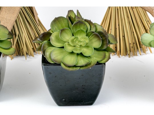 Grouping Of Faux Plants And Wheat Sheefs