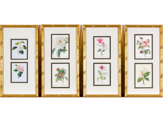 Set Of Four Hand-Colored Botanical Prints