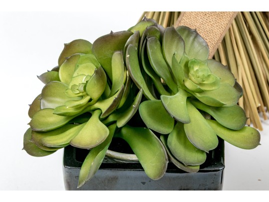 Grouping Of Faux Plants And Wheat Sheefs