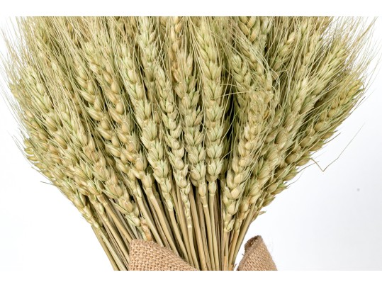Grouping Of Faux Plants And Wheat Sheefs