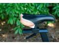 Schwinn Fitness IC4 Indoor Stationary Exercise Cycling Training Bike