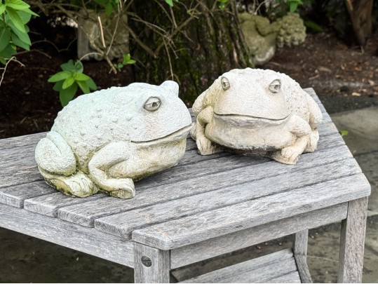 Pair Of Painted Garden Toads