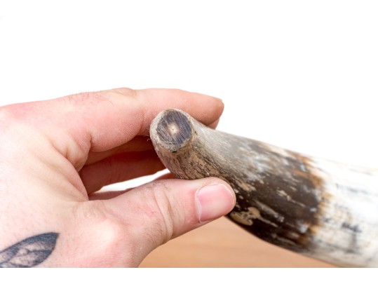 Carved Buffalo Horn With Brass Mounted End
