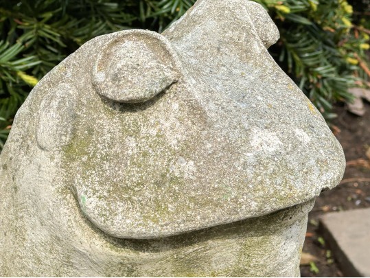 Cast Stone Zen Frog