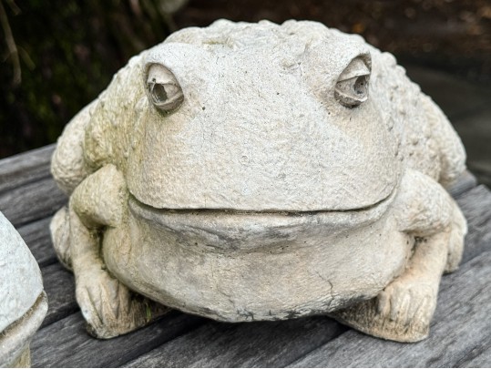 Pair Of Painted Garden Toads
