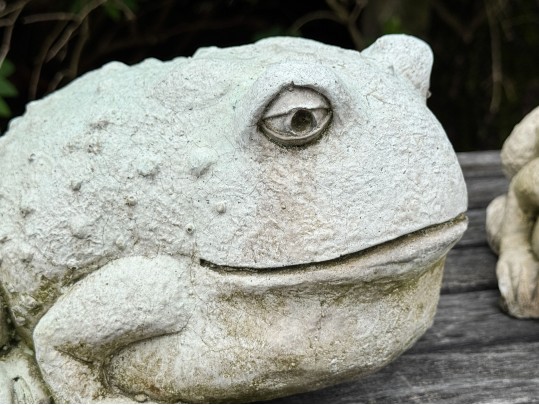 Pair Of Painted Garden Toads
