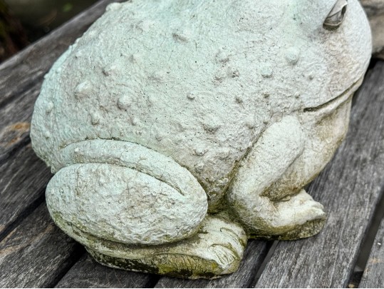 Pair Of Painted Garden Toads