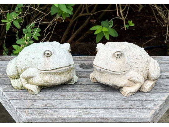 Pair Of Painted Garden Toads
