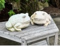Pair Of Painted Garden Toads