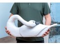 Painted Faux Bois Swan Resin Model