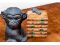 Pair Of Decorative Monkey And Books Form Bookends
