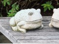 Pair Of Painted Garden Toads
