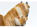 Decorative Chinese Tang Dyn. Style Glazed Ceramic Horse