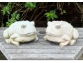 Pair Of Painted Garden Toads