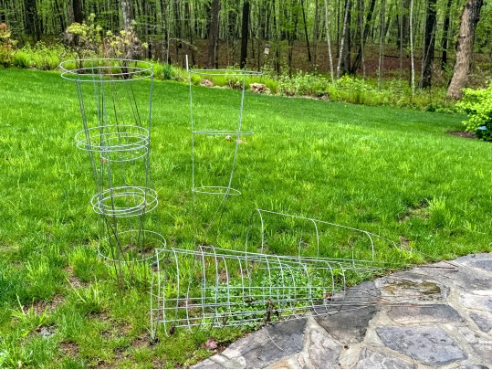 Lot Of Nine Tomato Staked Cages