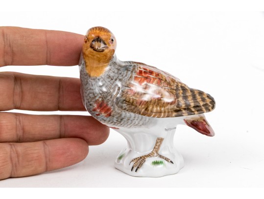 German Meissen Hand-Painted Porcelain Game Bird