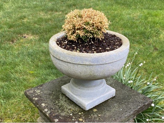 Pair Of Beautiful Garden Planters