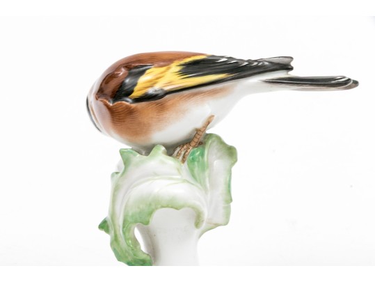 German Meissen Hand-Painted Porcelain Perched Goldfinch 