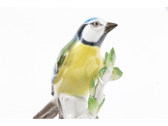 German Meissen Hand-painted Porcelain Perched Blue Titmouse Bird