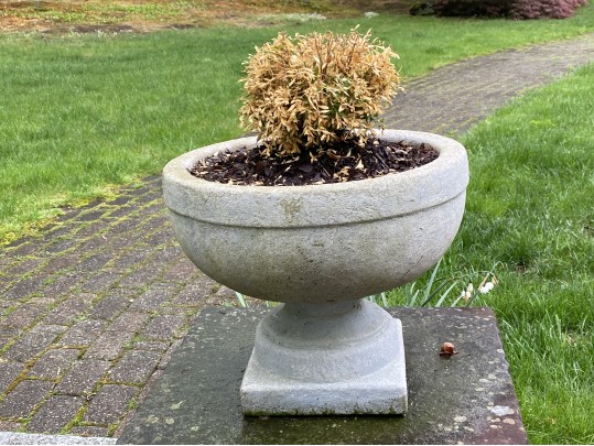 Pair Of Beautiful Garden Planters