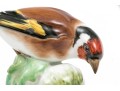 German Meissen Hand-Painted Porcelain Perched Goldfinch 