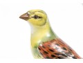 German Meissen Hand-Painted Porcelain Perched Yellowhammer Bird