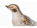 German, Meissen Hand-Painted Porcelain Perched Lark On Rockery
