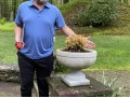 Pair Of Beautiful Garden Planters