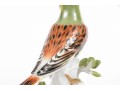 German Meissen Hand-Painted Porcelain Perched Yellowhammer Bird