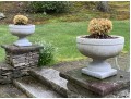 Pair Of Beautiful Garden Planters