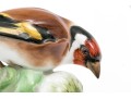 German Meissen Hand-Painted Porcelain Perched Goldfinch 