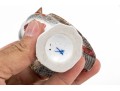 German Meissen Hand-Painted Porcelain Game Bird