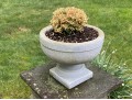 Pair Of Beautiful Garden Planters