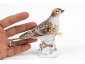 German, Meissen Hand-Painted Porcelain Perched Lark On Rockery