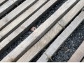 Wooden Garden Stakes