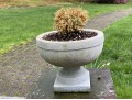 Pair Of Beautiful Garden Planters