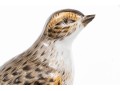 German, Meissen Hand-Painted Porcelain Perched Lark On Rockery