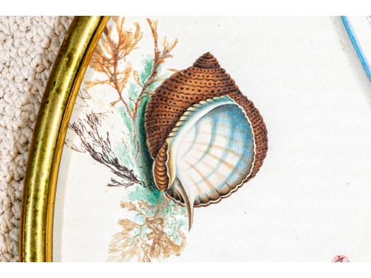 Three Watercolor On Paper Botanical And Music Sheets 