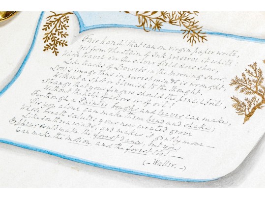 Three Watercolor On Paper Botanical And Music Sheets 