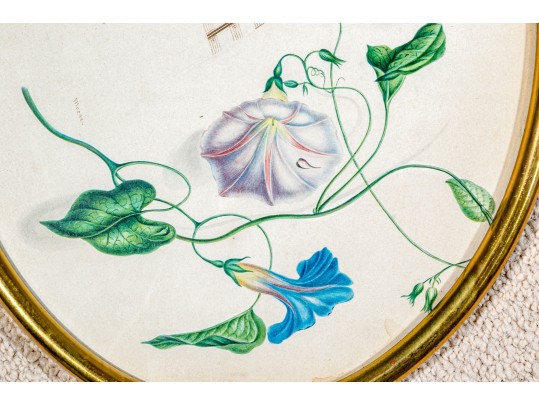 Three Watercolor On Paper Botanical And Music Sheets 