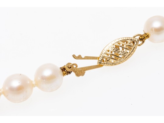 14K Complimentary Pearl Necklace And Stud Earrings