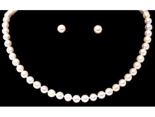 14K Complimentary Pearl Necklace And Stud Earrings