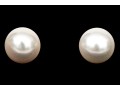 14k Yellow Gold Striking 13mm Cultured Freshwater Pearl Earrings