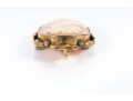 1/20 12K Gold Cameo Brooch