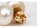 14k Yellow Gold Striking 13mm Cultured Freshwater Pearl Earrings